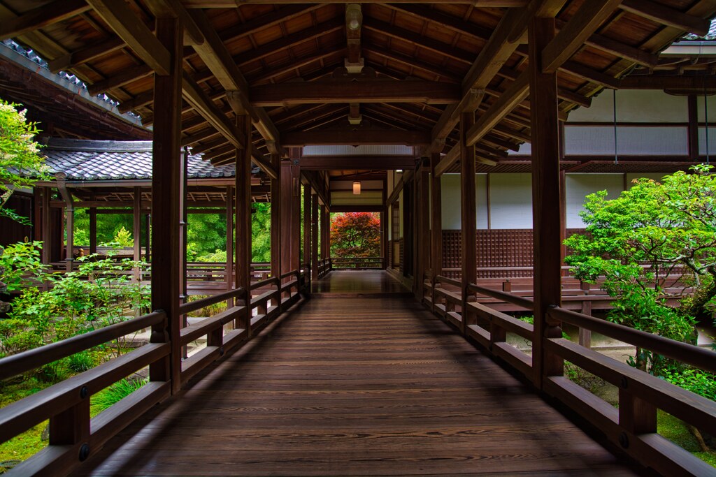 真　本坊の奥