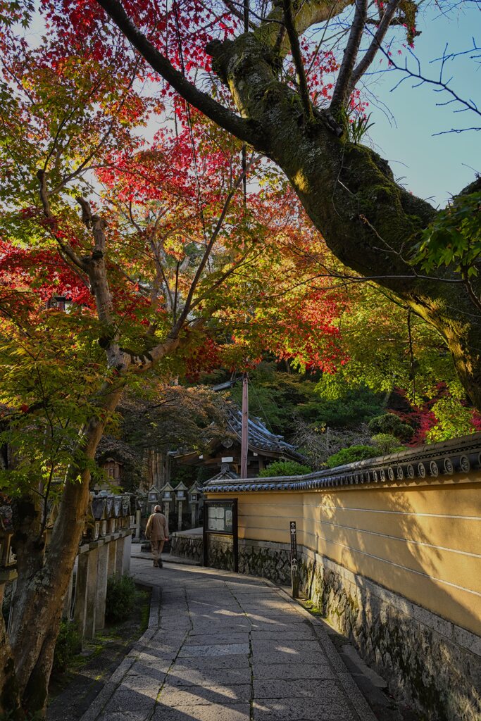 紅葉の中を往く・・・