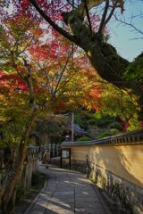 紅葉の中を往く・・・