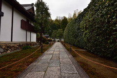 芬陀院　参道