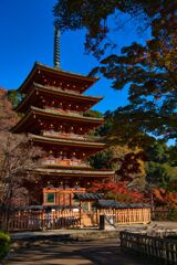 紅葉と昭和の名塔