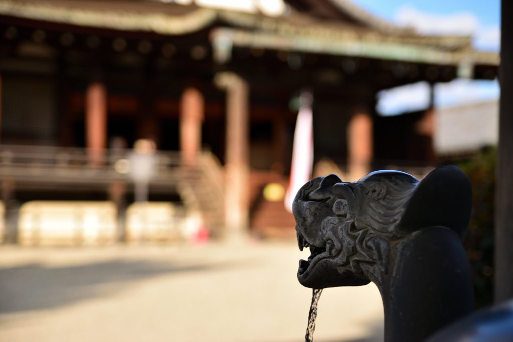 法隆寺　聖霊院前より・・