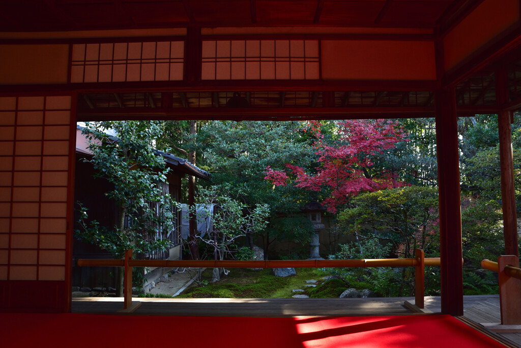 秋の大雄院