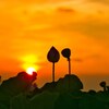 夕陽に照らされて・・弐