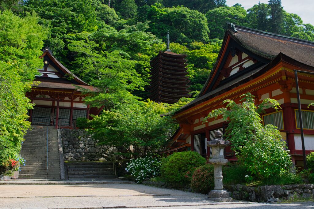 けまりの庭にて～談山神社