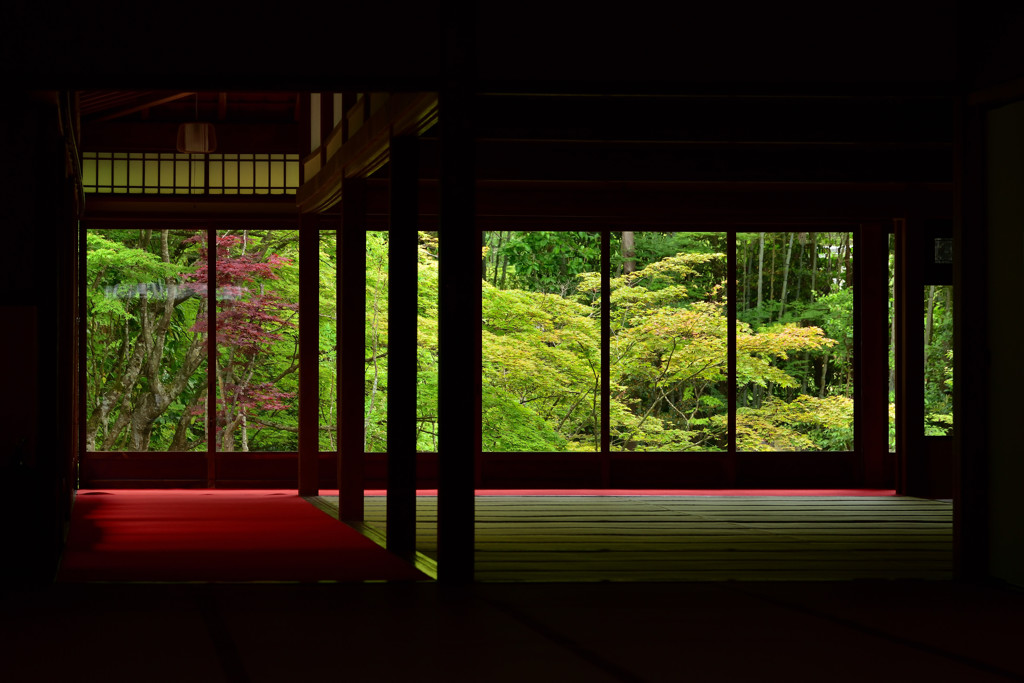 青もみじの天授庵　其の弐