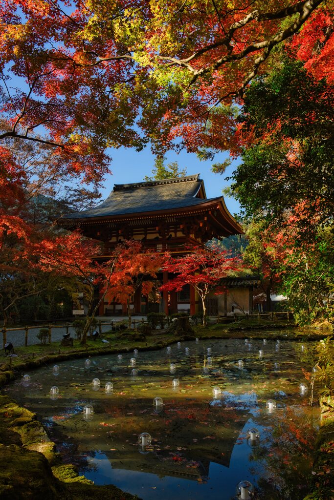 錦秋の室生寺