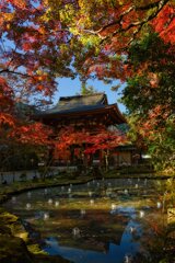 錦秋の室生寺