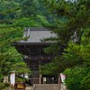 新緑の長谷寺～仁王門