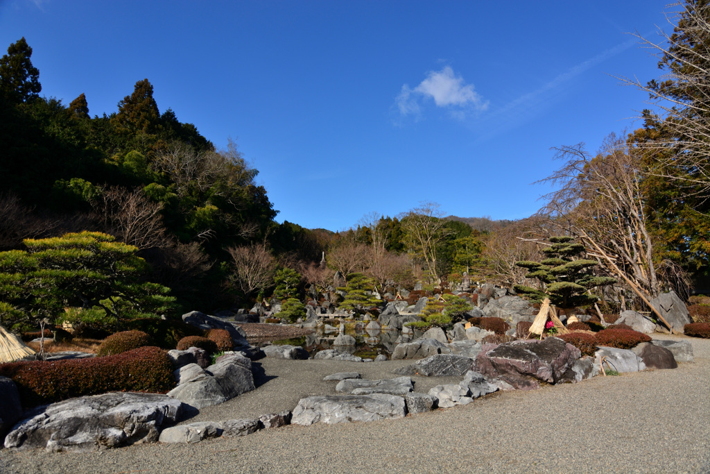 冬の浄土庭園