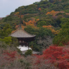 晩秋～根来寺～大塔