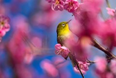 香りに包まれて・・・