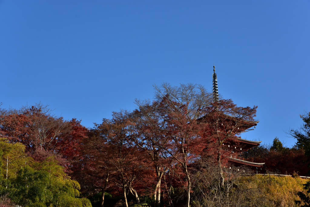 晩秋の三重塔