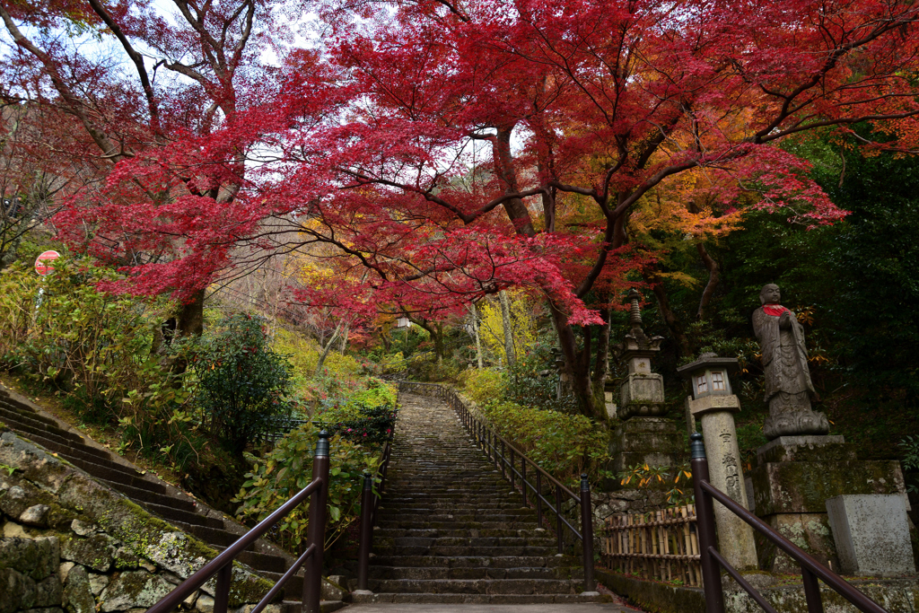 紅葉の長谷寺　登廊の先