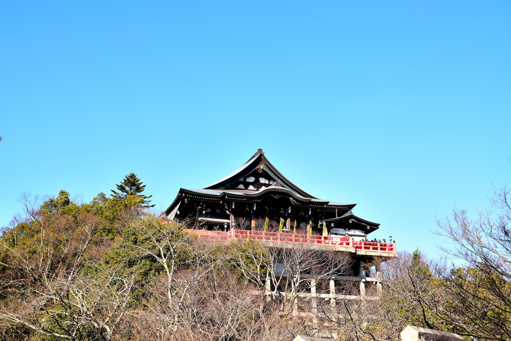 本堂を見上げて