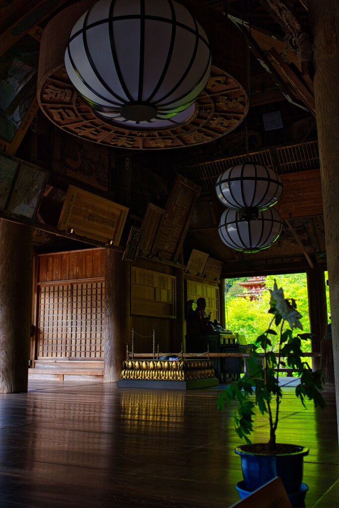 新緑の長谷寺～本堂　弐