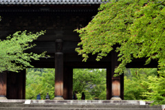 新緑の三門～南禅寺