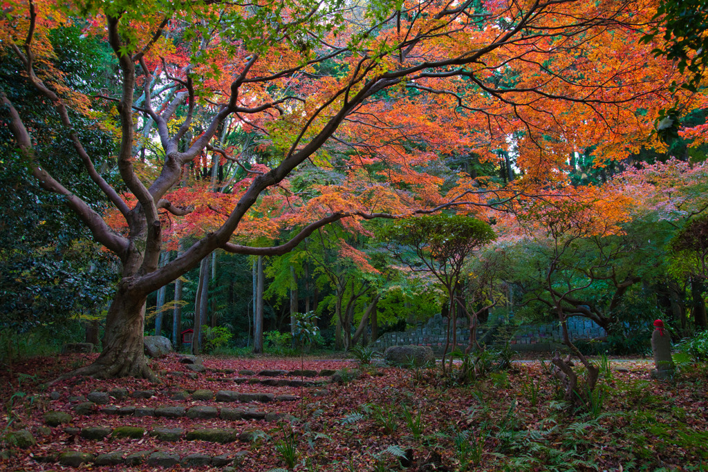 錦秋～九品寺