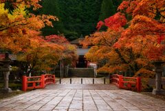 錦秋～紅葉の英霊殿