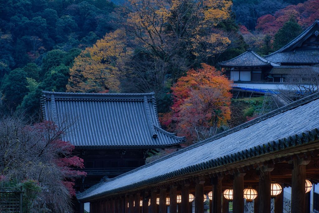 晩秋～紅葉の長谷寺　参