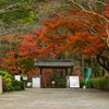 晩秋～根来寺～本坊前