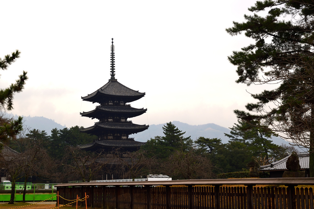 興福寺　五重塔②