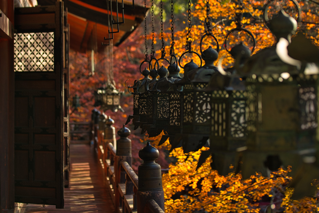 錦秋～談山神社～拝殿