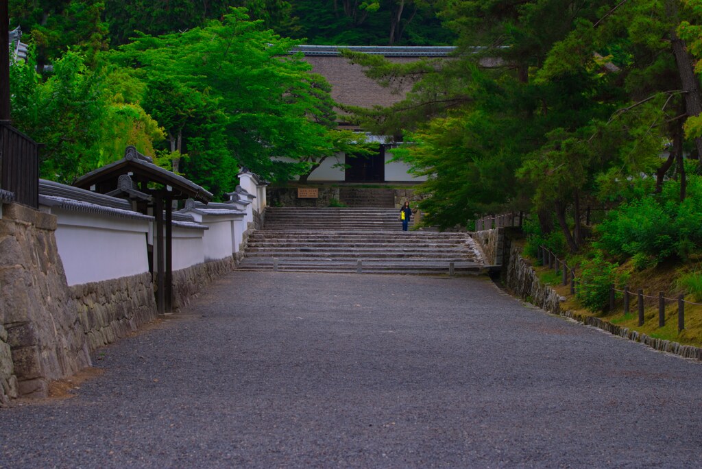 初夏の南禅寺