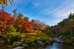 紅葉シーズン到来・・