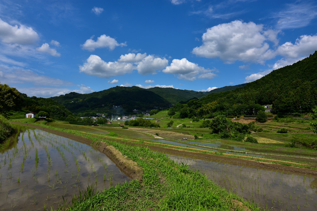 稲渕の初夏