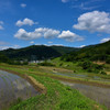 稲渕の初夏