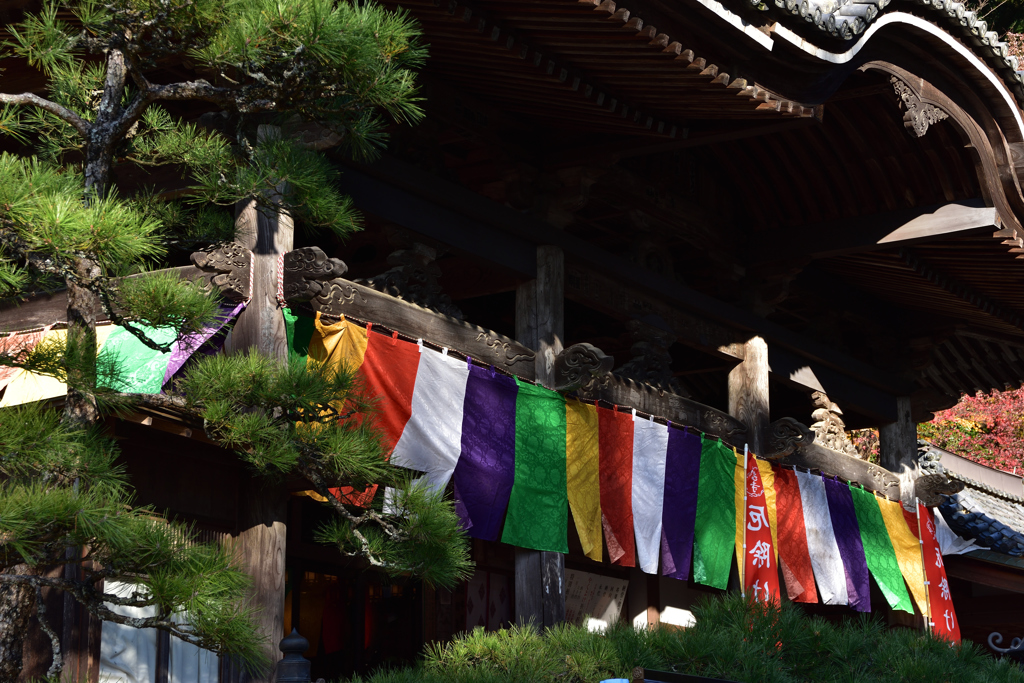 龍蓋寺　本堂