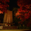 Tanzan Shrine～illumination①