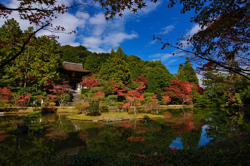 秋～庭園より楼門を望む