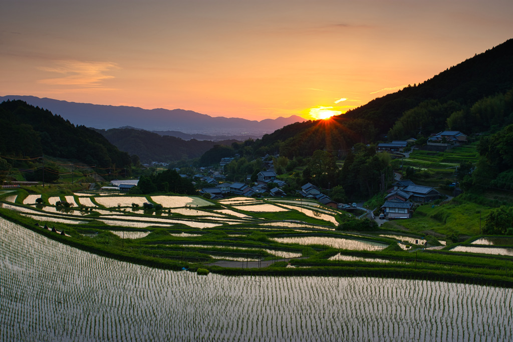 初夏　細川の夕暮れ