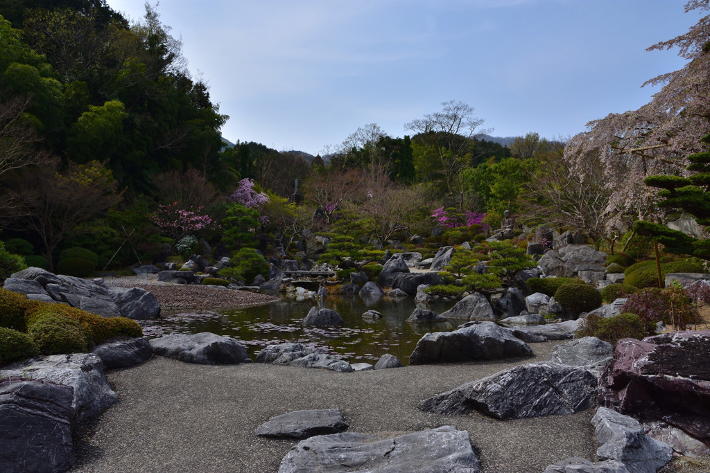 春の浄土庭園