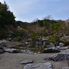 春の浄土庭園