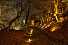 嵐山花灯路～常寂光寺