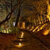 嵐山花灯路～常寂光寺