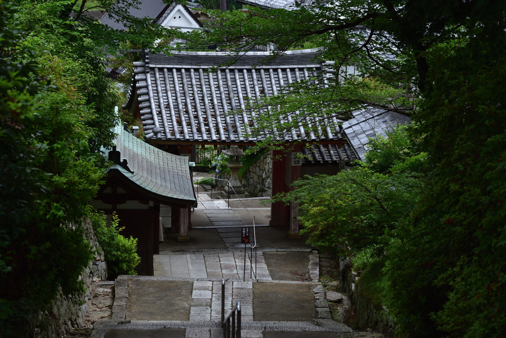 静寂の山門