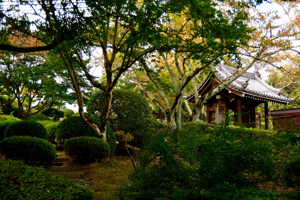 九品寺　山門と庭園