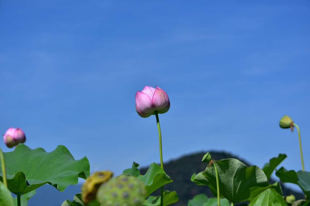 もう少し頑張るよ！