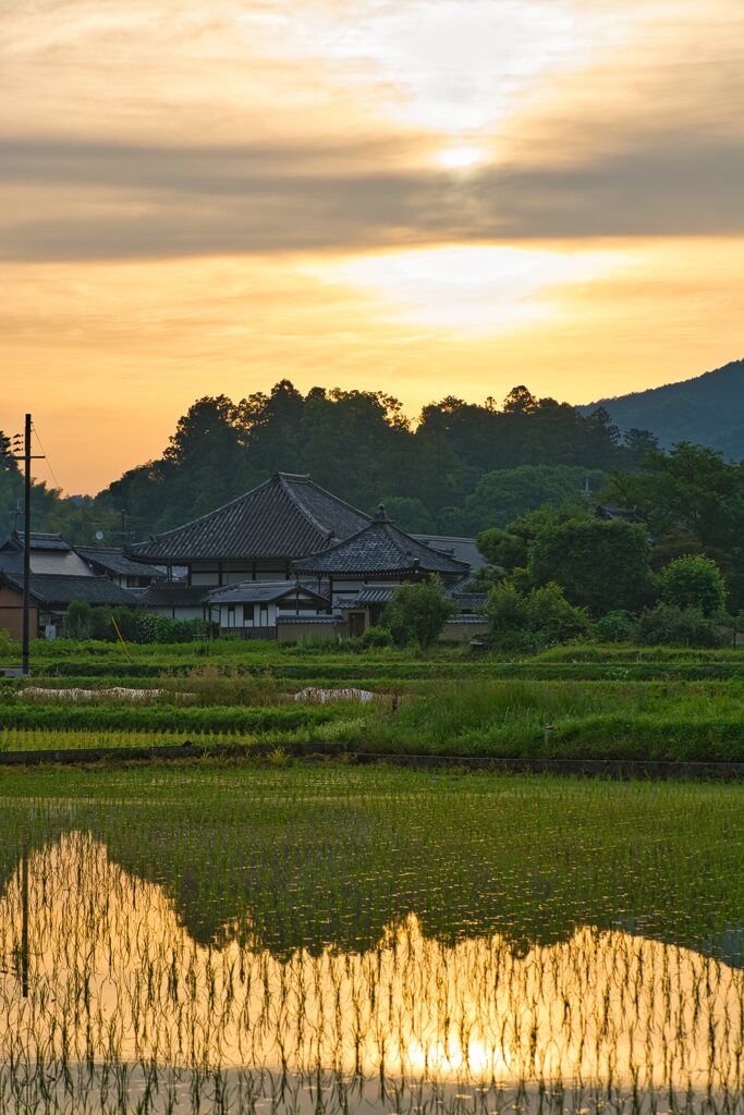 夜明の飛鳥寺