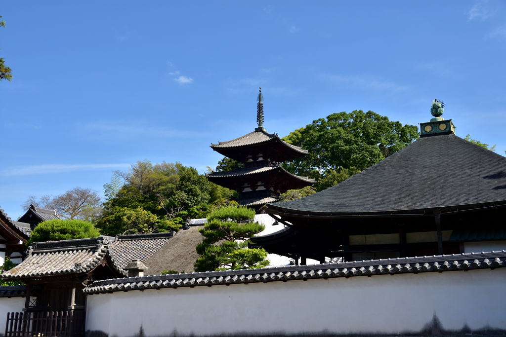 護念院と三重塔（東塔）