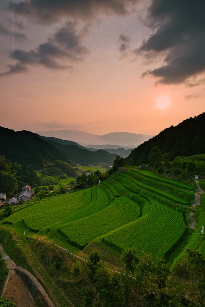 夏の上地区