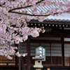 阿弥陀堂の前で～奥院