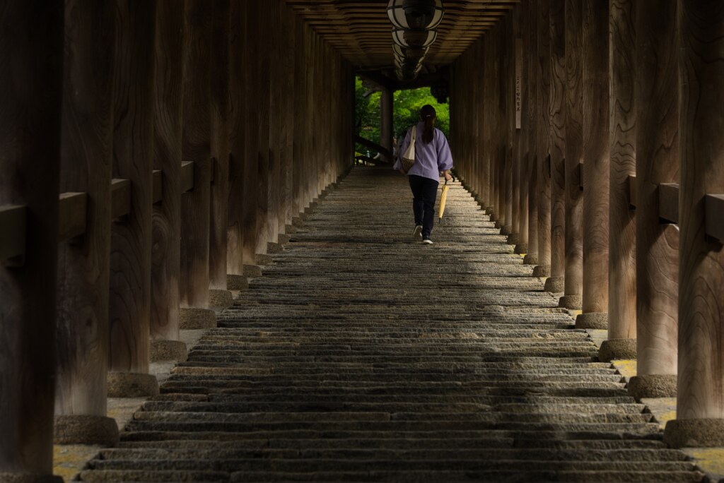初夏の登廊～長谷寺