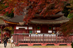 17’紅葉の談山神社⑥