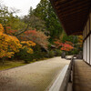 金剛峯寺　蟠龍庭①