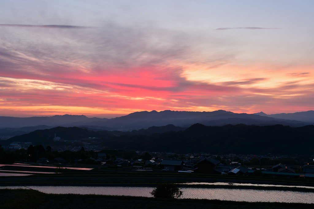 焼ける朝③